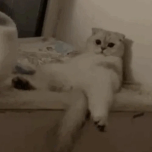 日本人抢金粽国姑娘黄色片
