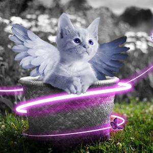 日本人抢金粽国姑娘黄色片
